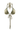 SEASHELLS | CLASSIC BIKINI GOLD